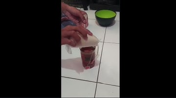 Tugas bahasa inggris procedure text how make to iced tea