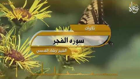 سوره الفجر الشيخ رشاد القدسي