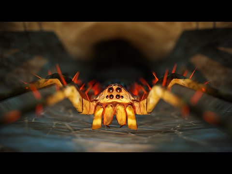 The Hungry Spider