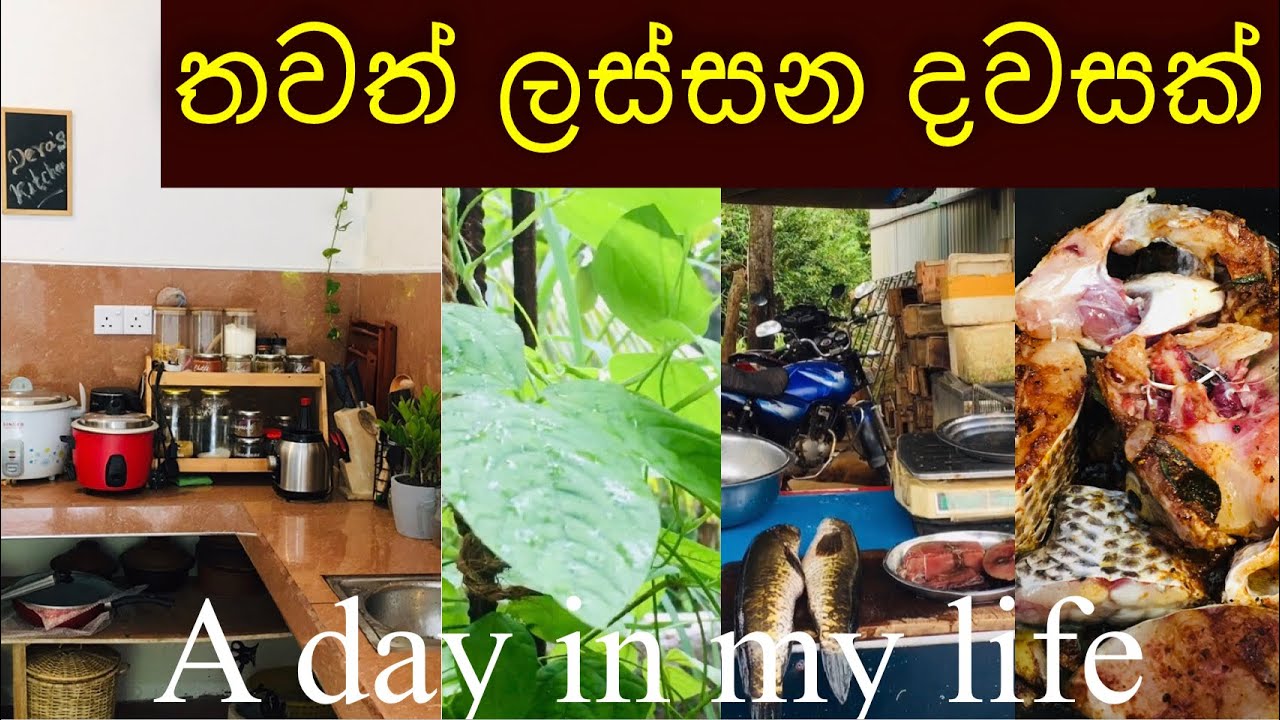 තවත් ලස්සන දවසක්|🌻Another beautiful 🌞🧡day|A day in my life|