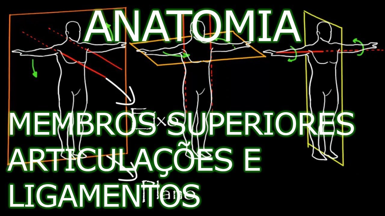 Aula: Anatomia - Membros Superiores - Articulações e Ligamentos | Anatomia Humana Osteomuscular
