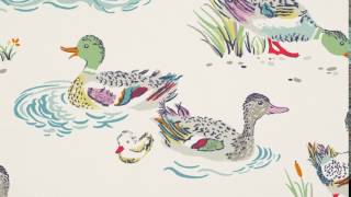 Nice weather for Ducks!