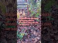 Не завелось #анекдоты #приколы #shorts