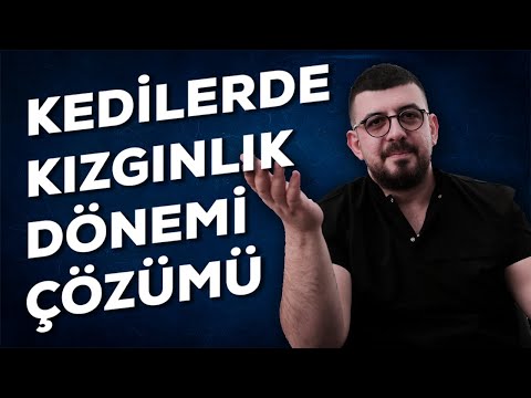 Video: Kedinizin Evdeki İşeme Çıkmasını Nasıl Önlersiniz?