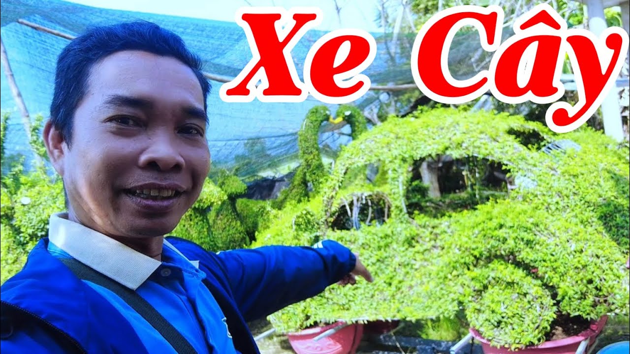 Lạc vào khu vườn cây cảnh được tạo hình độc lạ