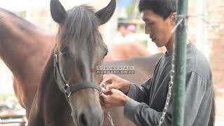 Pembangunan Arena Berkuda Pondok Pesantren Imam Bukhari bukhari Stud