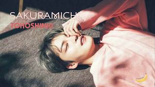 [Vietsub] Sakuramichi - 東方神起