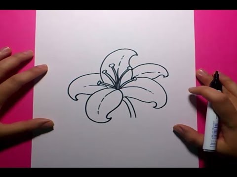 Video: 5 formas de dibujar un pato