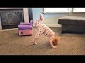 Family Yoga with Adley for our morning routine (ultimate yoga baby)