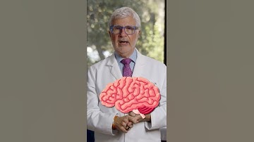 What Supplements Does Dr. Gundry Take?
