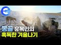 몽골 유목민의 혹독한 겨울나기와 야생의 삶