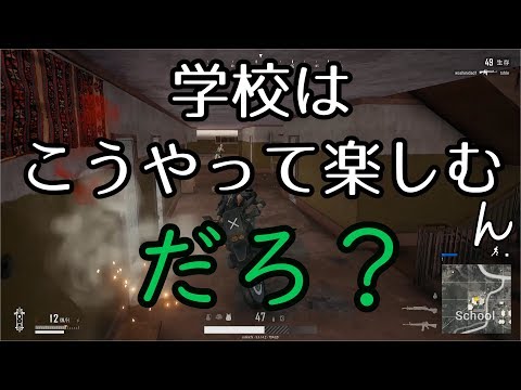 Pubgチート報告