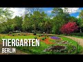 Tiergarten - The Most Popular City Park of Berlin- 🇩🇪 Germany - 4K Walking Tour