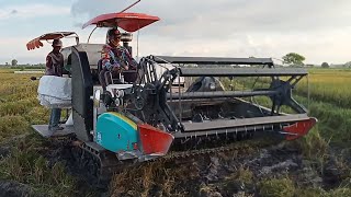 combine harvester kubota DC 70 Plus