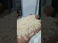 Jinshunda Model 25T Rice milling #agriculture #machine #machinerychannel #china #automobile