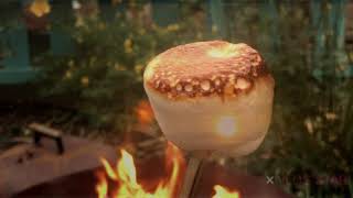 Toasting Marshmallows
