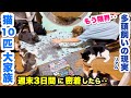 保護猫10匹大家族の週末3日間に密着したら大忙しで悲惨でした・・【猫多頭飼いの現実】