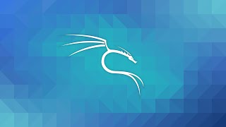 056   Nmap   Сканирование уязвимостей | Этичный хакинг с Kali Linux