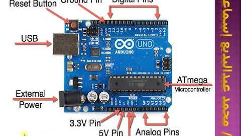التعرف على بوردة  أردوينو أونو