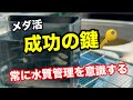 給餌よりも、水換えです!【メダカ】