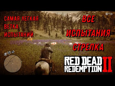 Видео: Все испытания стрелка в Red Dead Redemption 2