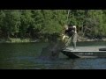Battles Beneath the Surface: The Impact of Invasive Species in Freshwater Ecosystems