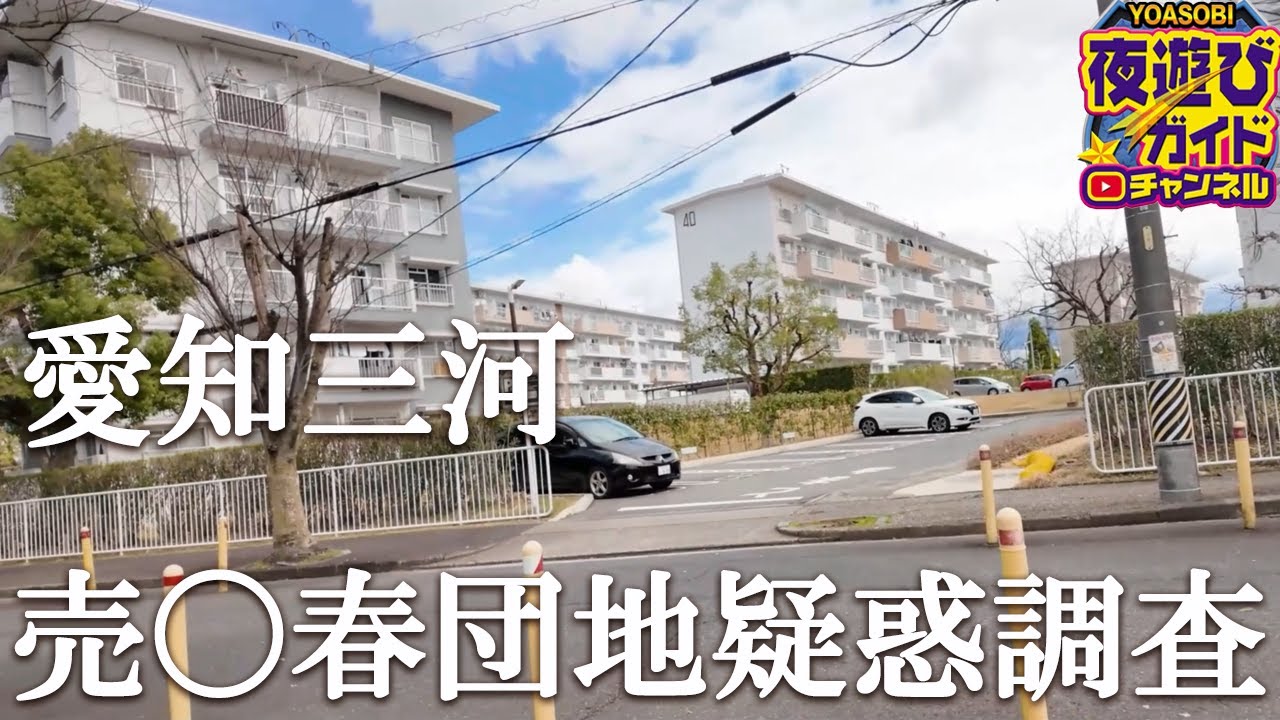 ブラジル人の貧困層が…？しかし聞き込みをしたら団地の真実がわかった。