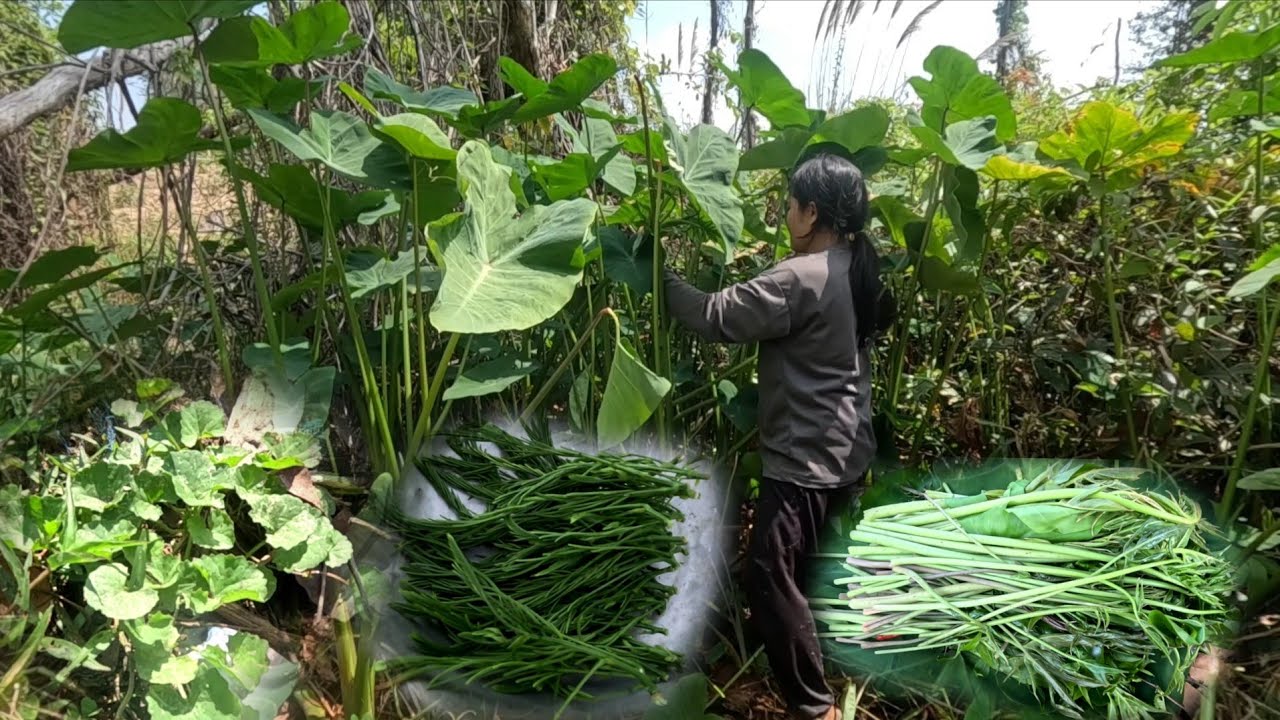 8 มีนาคม ค.ศ. 2026