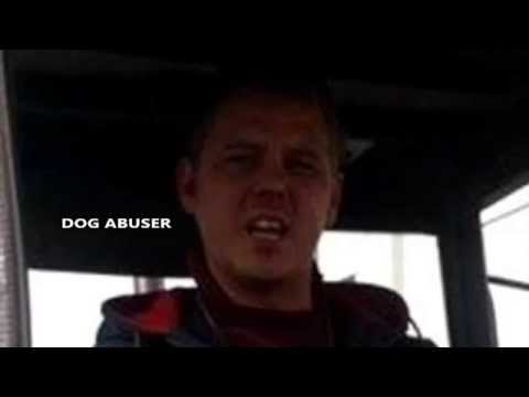 david lowe dog david lowe dog