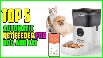 TOP 5 Best Automatic Pet Feeder for Dog and Cat 2025