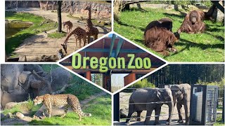 Oregon Zoo Animals Tour Only,Oregon,USA