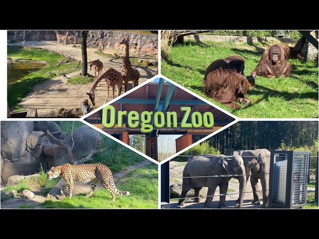 Oregon Zoo Animals Tour Only,Oregon,USA class=