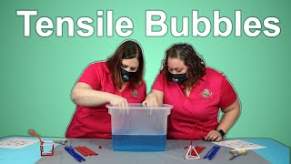 Tensile Bubbles Stem Activity Tensile Bubbles