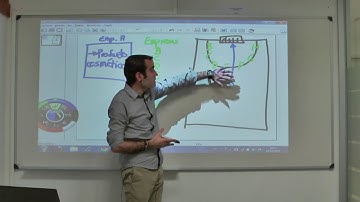 Técnicas de creatividad: analogías | Alex Rayón Jerez