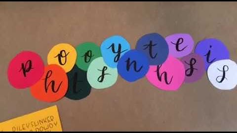 AP Biology Photosynthesis Project 2019