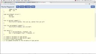golang embedded types