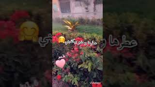 ياورد خلي عنك في عندي أجمل منك🌸🤭