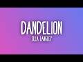 Ella Langley - Dandelion (Sub. Español + Lyrics)
