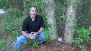 The GeoScoop : Geocaching Show Ep.1 {Hiding a Cache, GeoEtiquette & GeoBag}