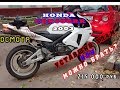 [Осмотр] Honda CBR600rr 2003 за 215 000 руб. Хлам?