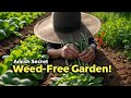 Amish Weed Control Secrets They Don’t Want Gardeners to Know!