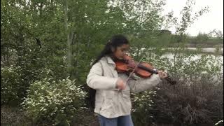 Dusk Till Dawn - Zayn ft. Sia | Violin Cover by Akari | A & E Unique