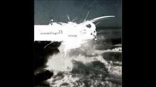 Assemblage 23 - Let the Wind Erase Me (lyrics)