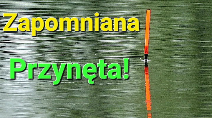 Przynęta na którą łowił tata! Wędkarstwo spławikowe na PZW