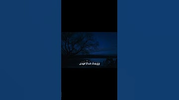 أَلَمْ يَجِدْكَ يَتِيمًا فَآوَىٰ | محمد صديق المنشاوي | سورة الضحى