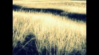 beat radio - head underwater