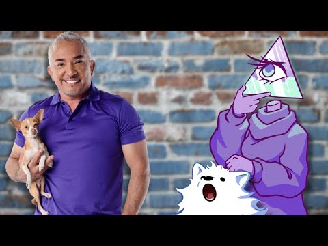 Cesar Millan: From Dog Whisperer to Dog Abuser | Corporate Casket