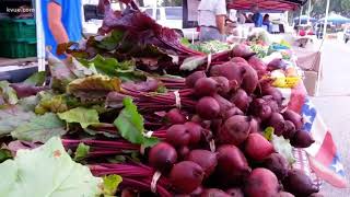 Texas couple can't sell pickled produce at their farmer's market. Now they're suing