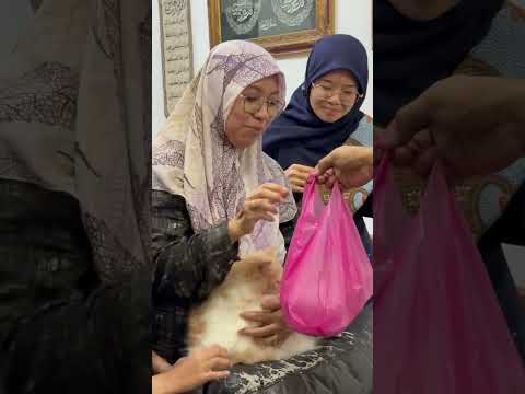 Hampir dua tahun akan ni lock awal dan custom set saiz begini ada sempat lagi korang nak oder