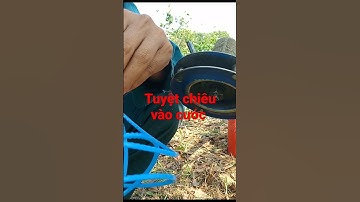 tuyệt chiêu vào cước máy cắt cỏ không hao cước #shorts #vanthoitv